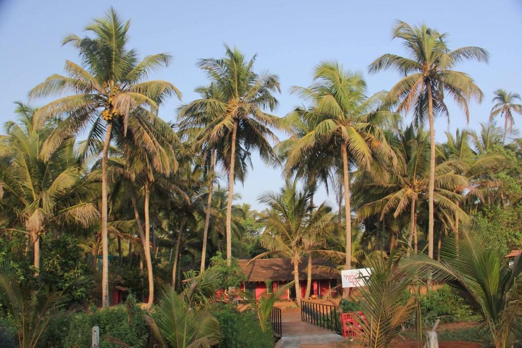 The Yuppi Hippi Hideout Hotell Anjuna Exteriör bild