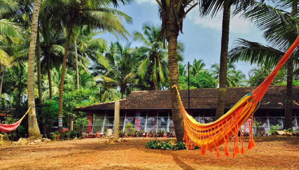 The Yuppi Hippi Hideout Hotell Anjuna Exteriör bild