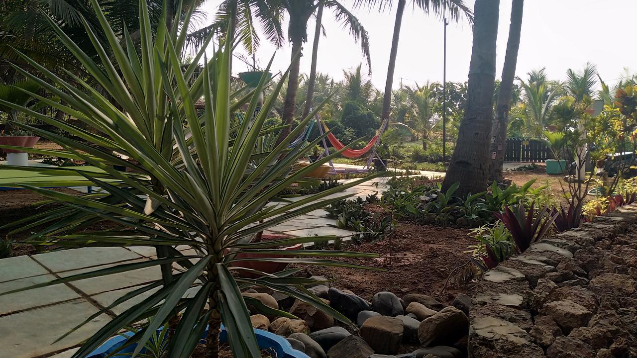 The Yuppi Hippi Hideout Hotell Anjuna Exteriör bild